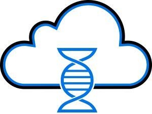Cloud Zebra DNA