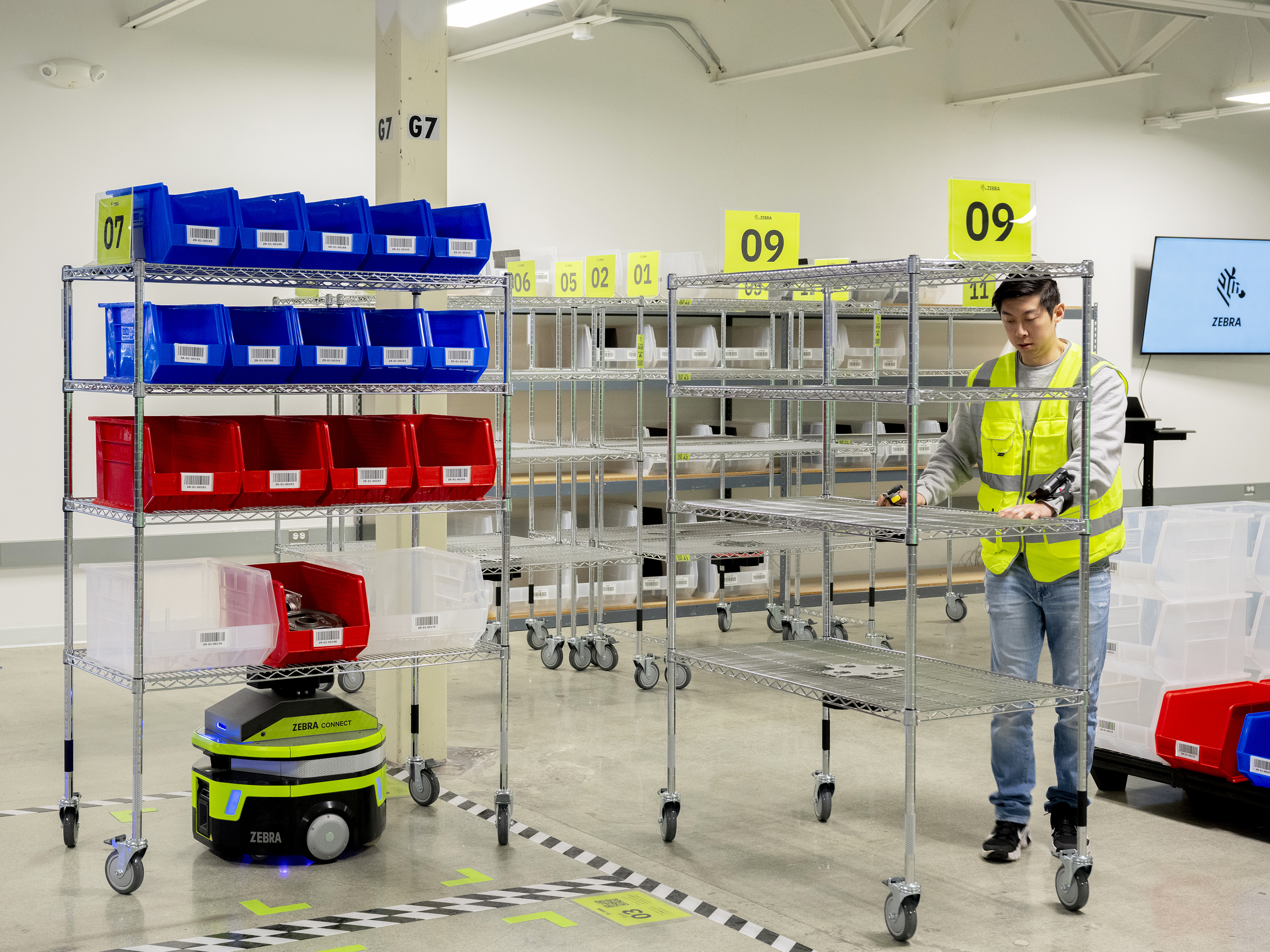 Zebra Symmetry Fulfillment