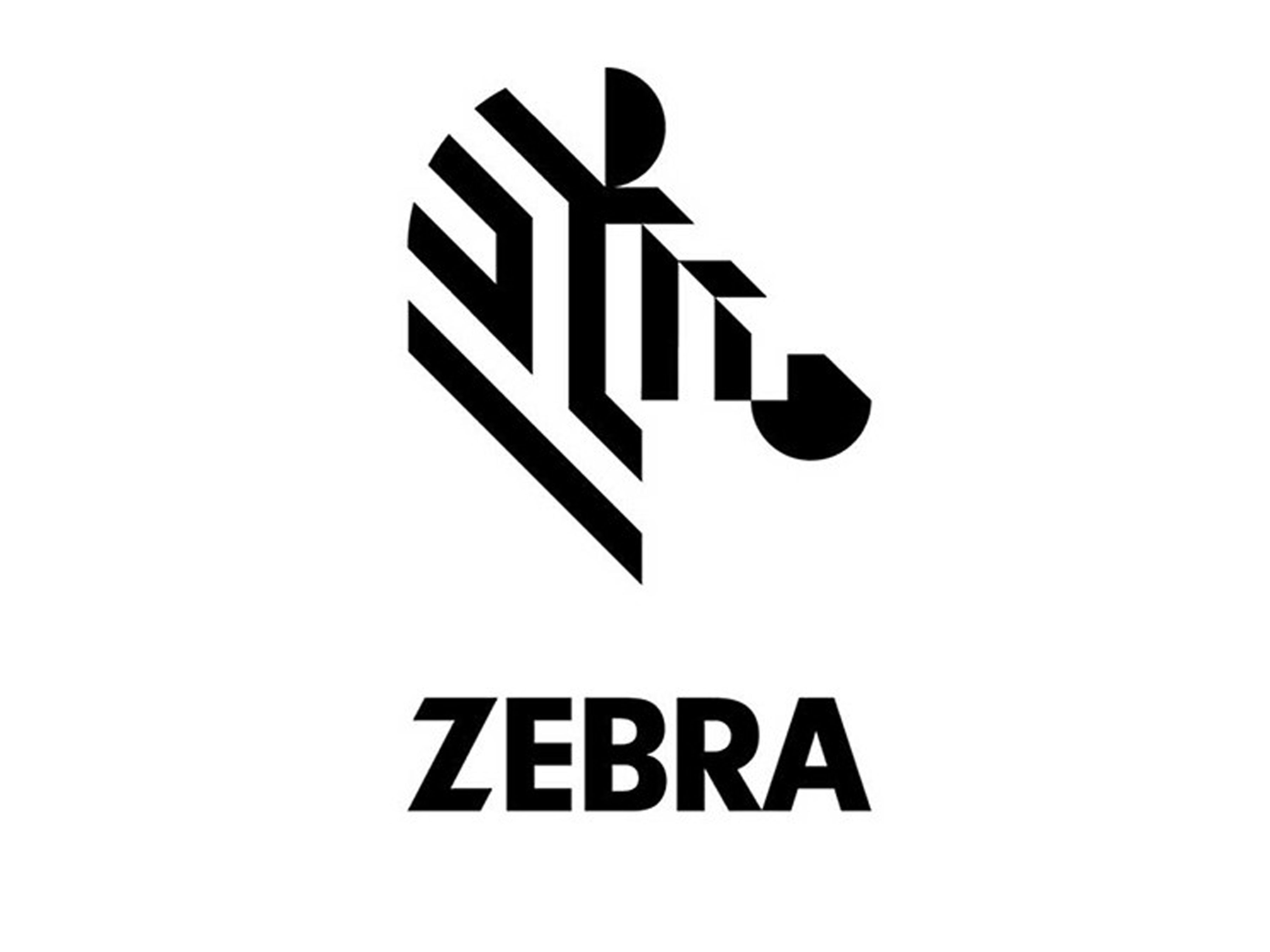 Zebra or Horse Logo - Branition