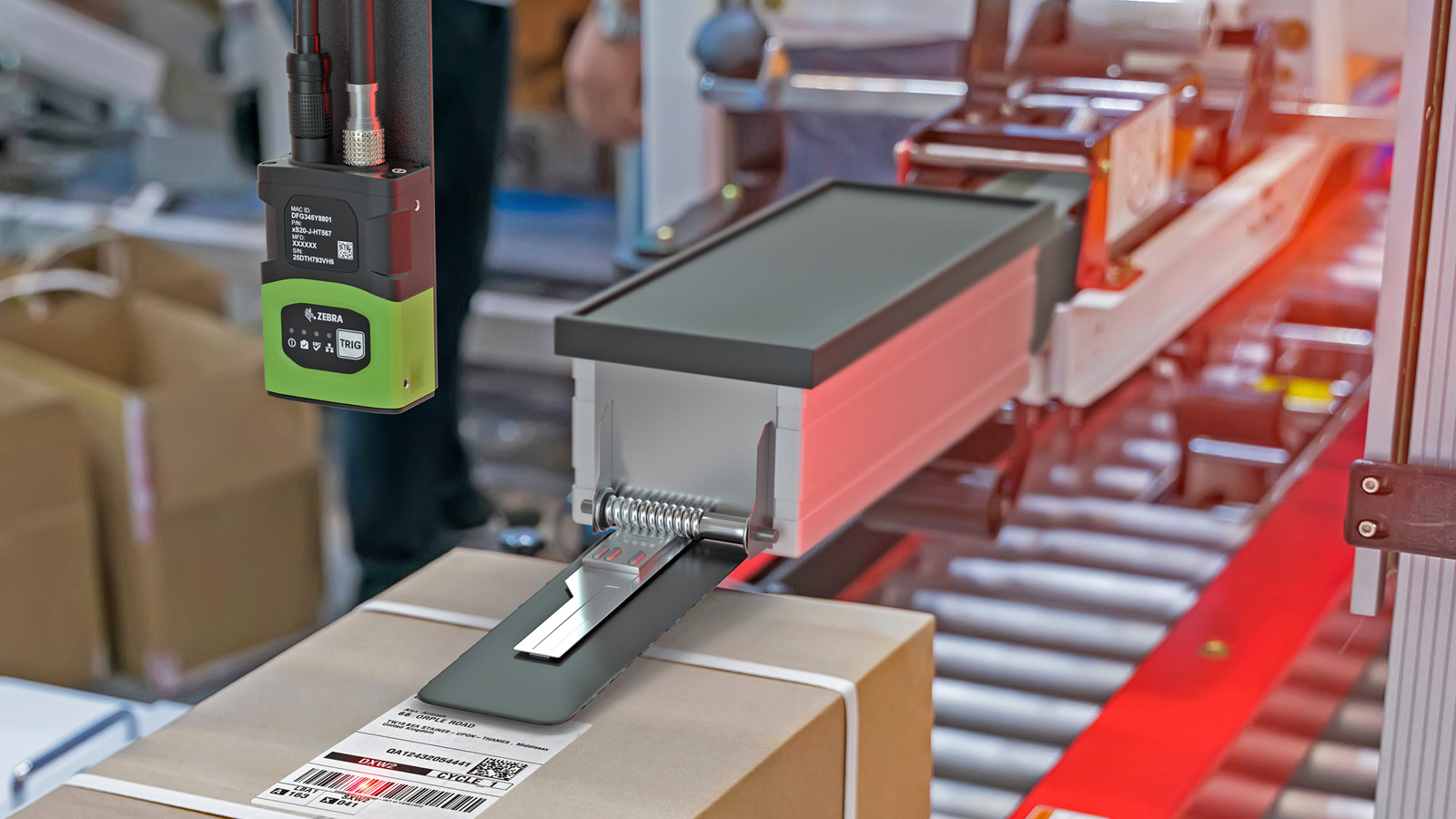 Machine vision powered by deep learning is being used to detect and read a label on a cardboard box on a conveyor system in a packaging facility.