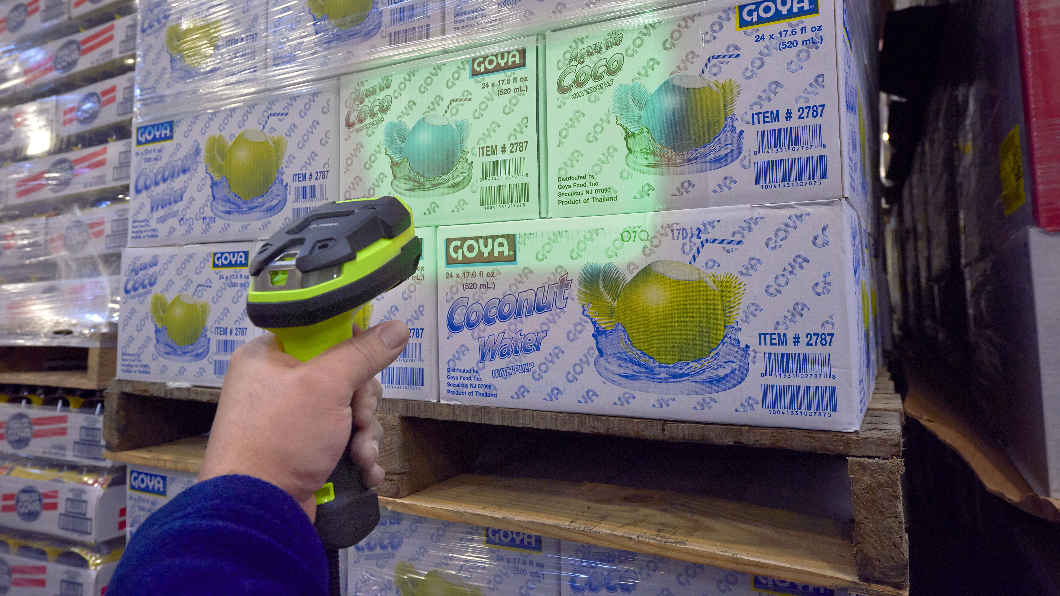 Employee Scanning Warehouse Order for Verification
