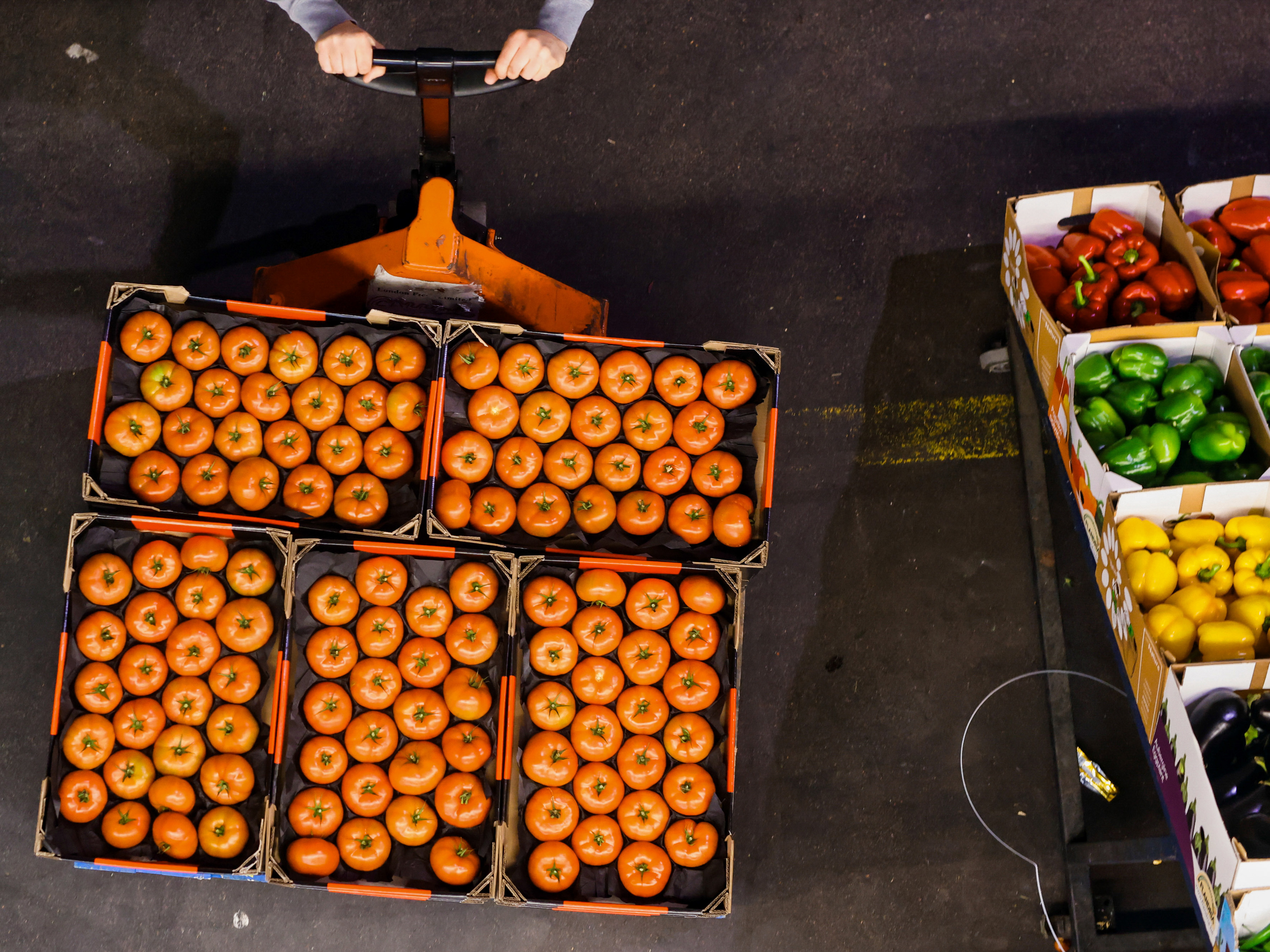 Employee moving a pallet of tomatoes.  Employee moving a pallet of tomatoes.