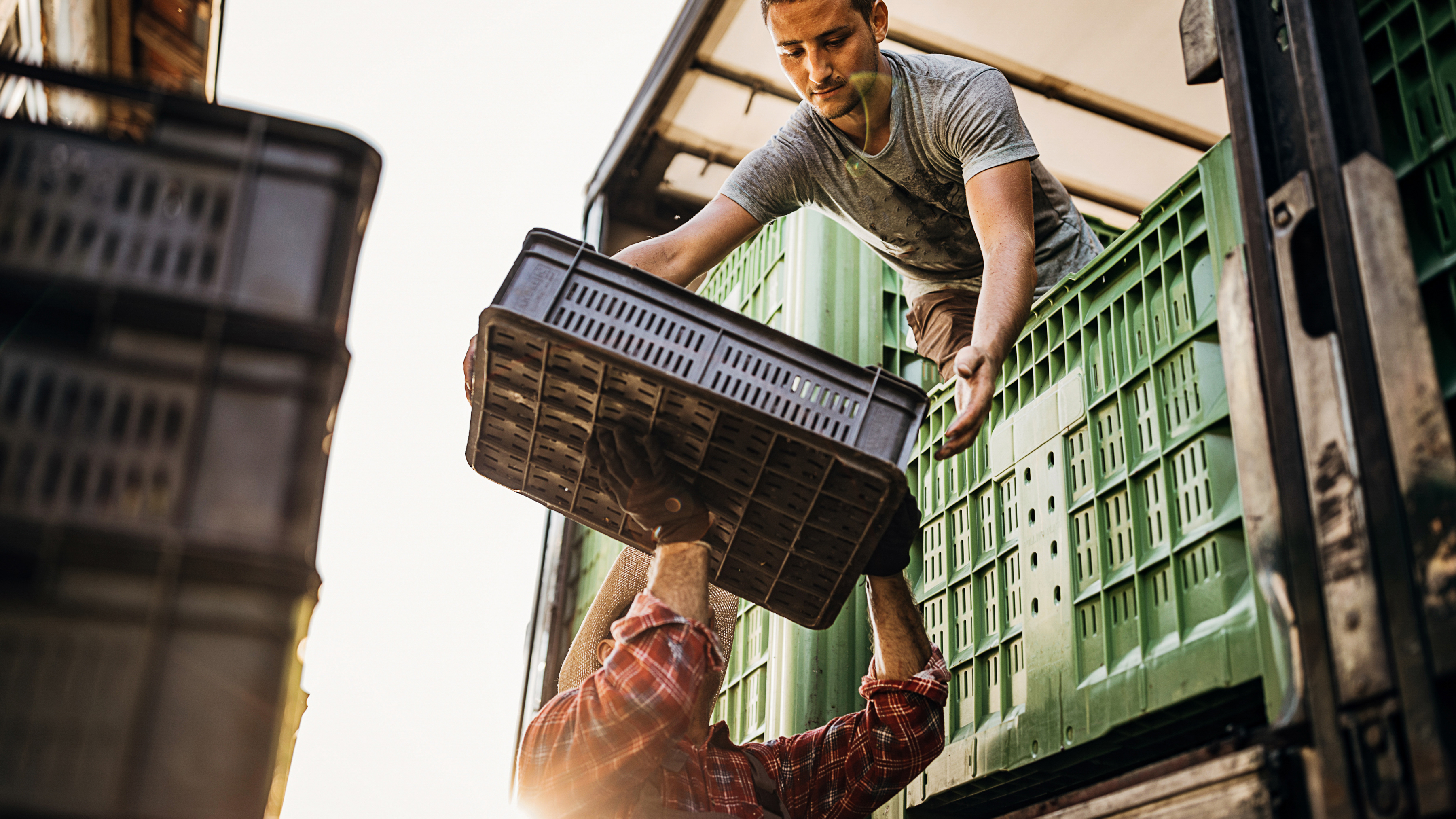 Produce farmer loading transport truck.  Produce farmer loading transport truck.